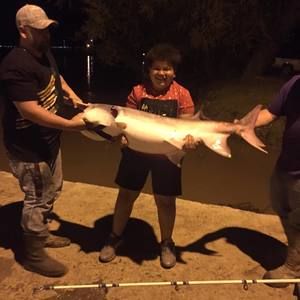 Meet your Posher, Thadeus